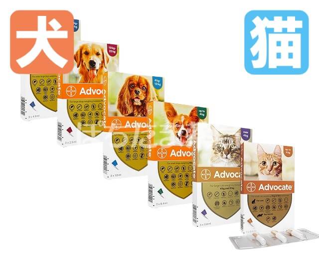 耳疥癬 耳ダニ 駆除薬通販 犬猫 点耳薬 効果 ぽちたま薬局