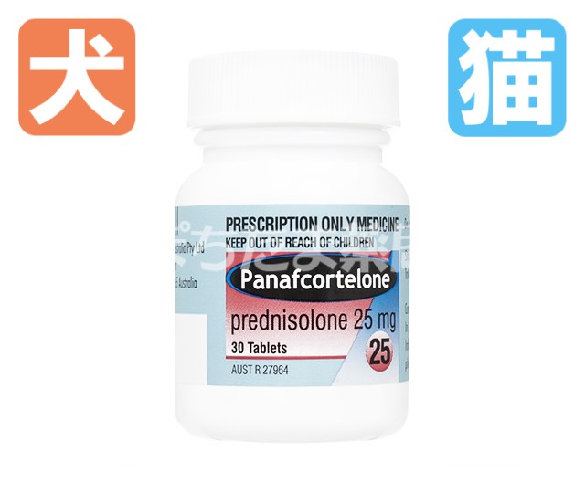 プレドニゾロン（パナフコルテロン）