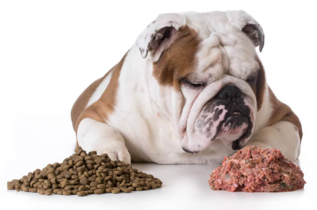 犬・猫に生肉を食べさせても大丈夫？