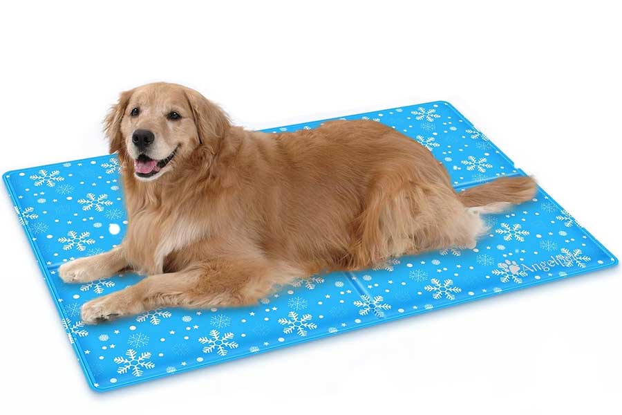 外飼い犬の暑さ対策 冷感マット