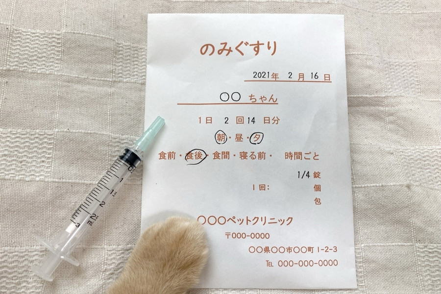 猫のフィラリア予防にかかる費用