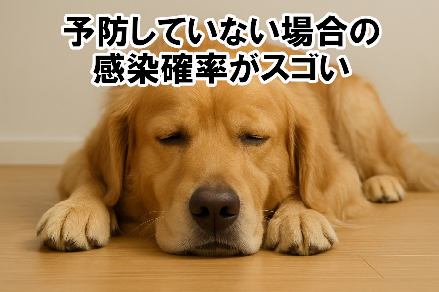 予防していない場合の感染確率がスゴい
