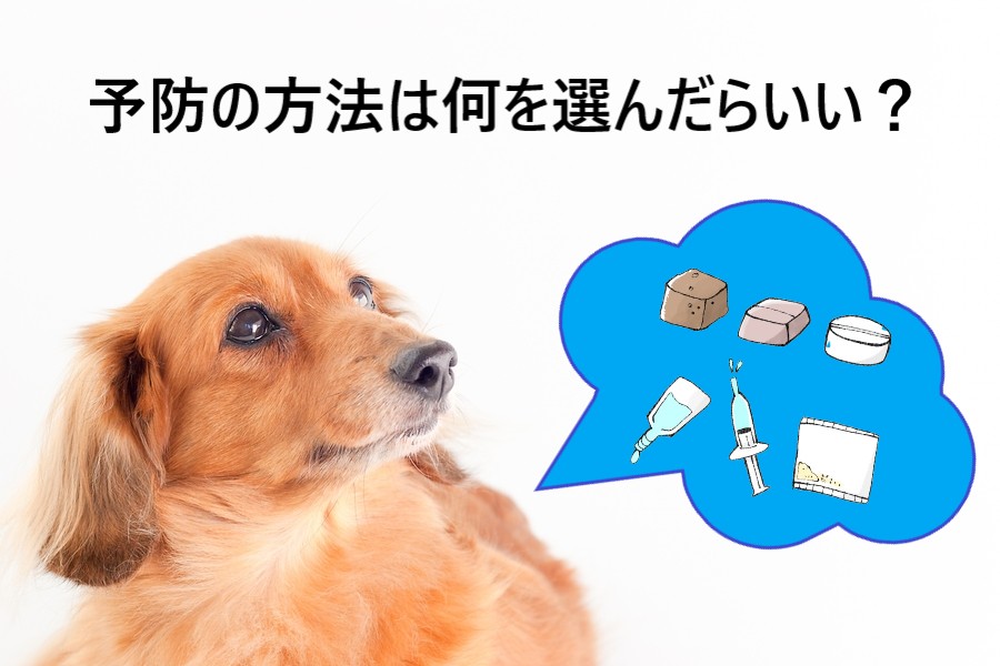 予防の方法は何を選んだらいい？ 