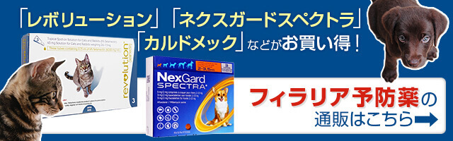 フィラリア検査の方法と費用について知りたい ぽちたま薬局スタッフブログ