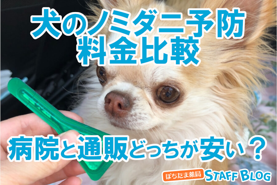 犬のノミダニ予防の料金比較！病院と通販どっちが安い？