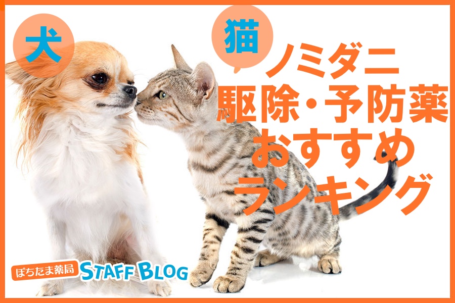 【犬・猫】ノミダニ駆除・予防薬のおすすめランキングと選び方