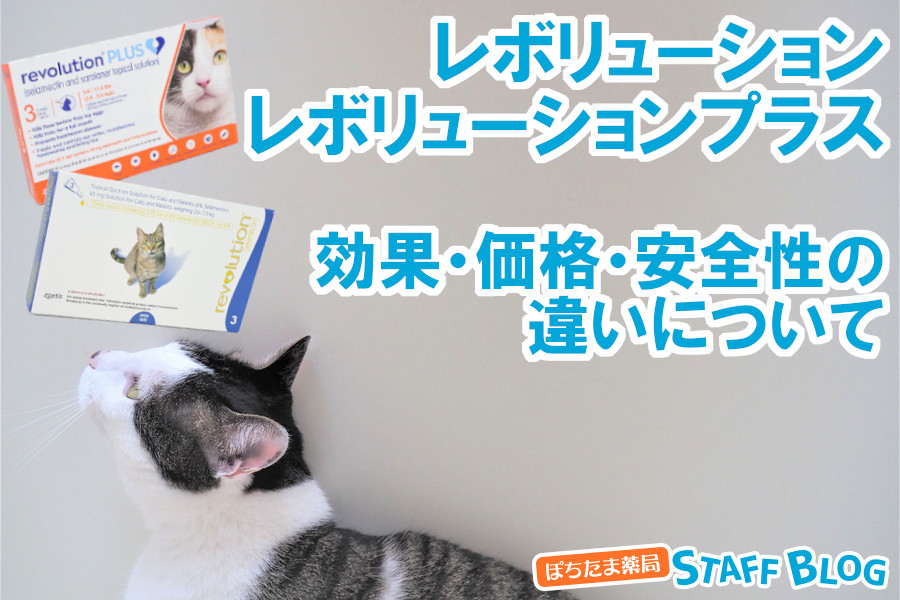 【徹底比較】レボリューションとレボリューションプラスの違いとは？