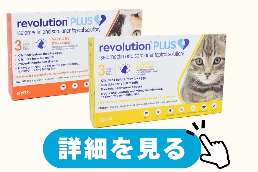 レボリューションプラス