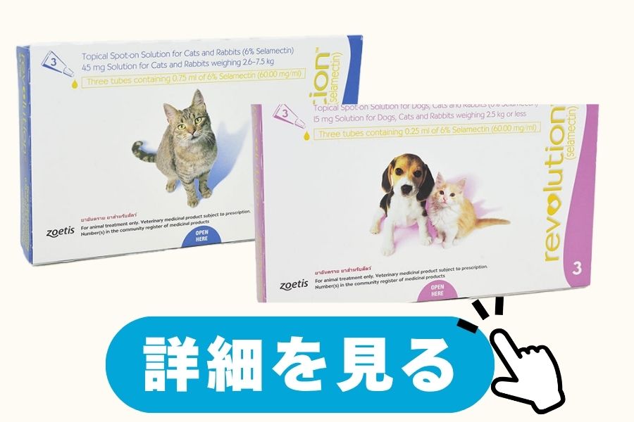 レボリューション