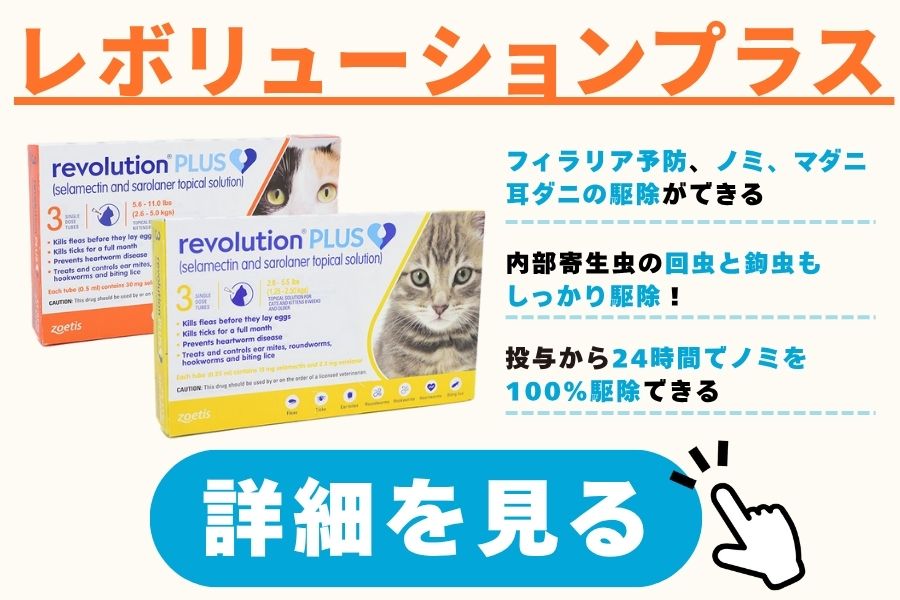 レボリューションプラス