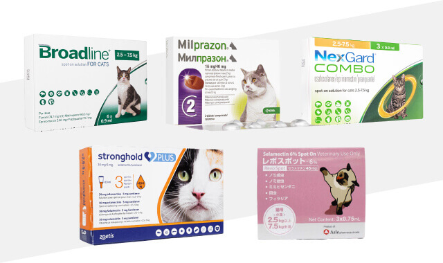 【2024年最新】猫におすすめのフィラリア予防薬5選！選び方も解説