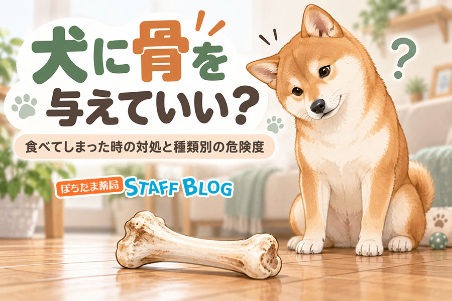 犬に骨を与えていい？食べてしまった時の対処と種類別の危険度