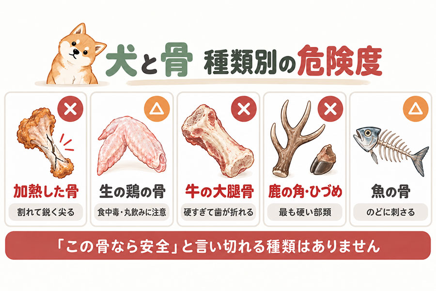 犬に与える骨の種類別の危険度。加熱した鶏・豚の骨は与えない、牛の大腿骨や鹿の角は歯が折れる、魚の骨は喉に刺さる