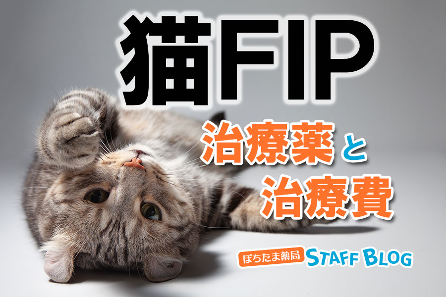 FIP治療が進化！最新の猫FIP（猫伝染性腹膜炎）治療薬の種類・治療費│モルヌピラビル・ムティアン・CFN・レムデシビル