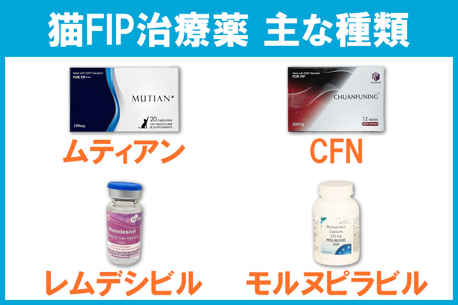 猫FIP治療薬の種類