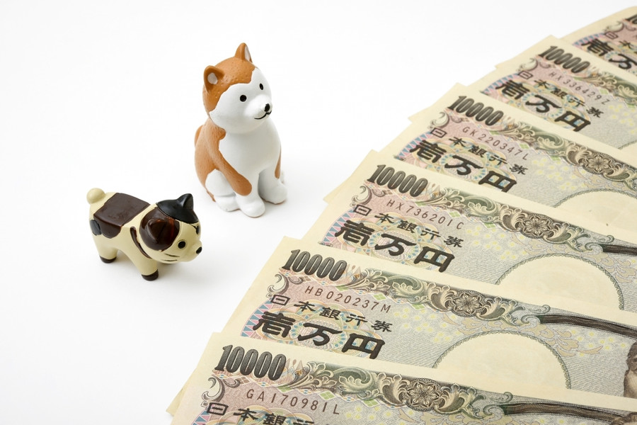 アポキルの値段が高い