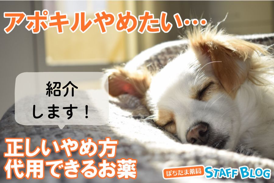 「アポキルやめたい」代用できるお薬はある？正しいやめ方は？