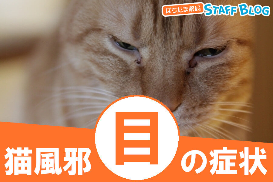 目に現れる猫風邪の症状は？