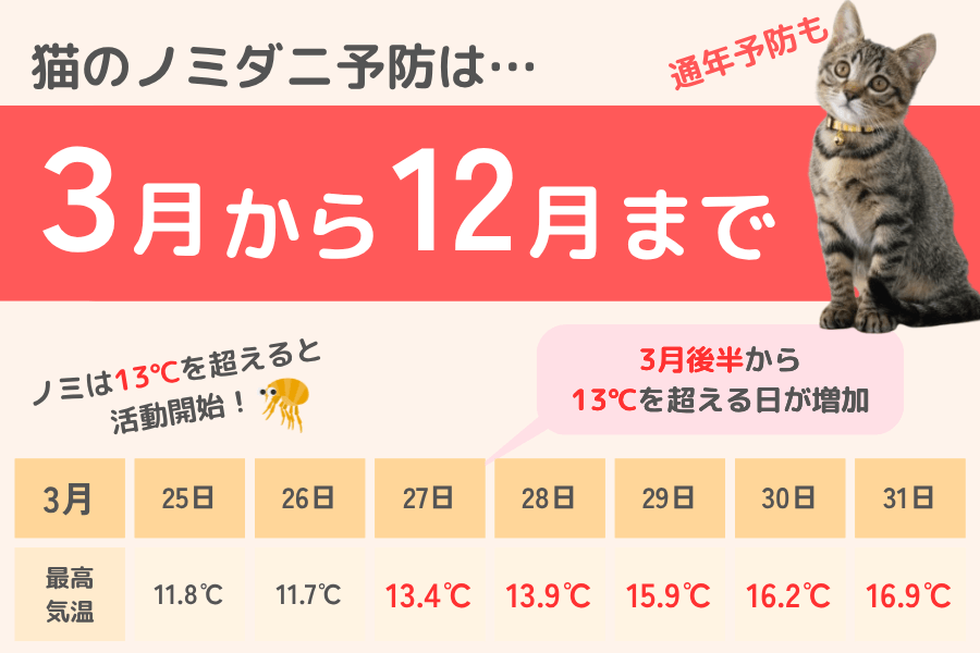 猫のノミダニ予防は3月から12月まで