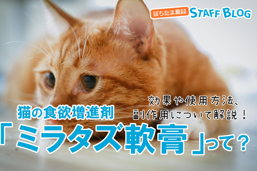 猫の食欲増進剤「ミラタズ軟膏」の効果は？使用方法、副作用について解説