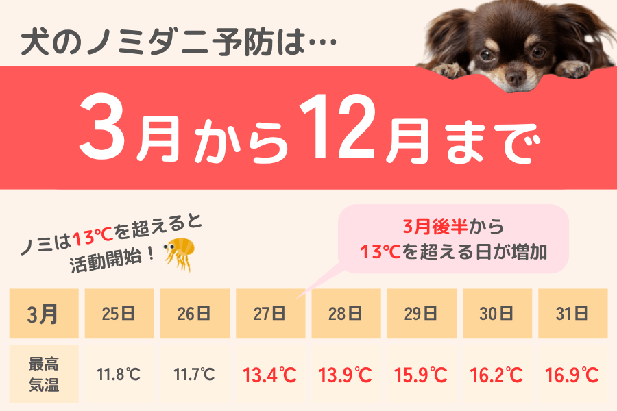 犬のノミダニ予防は3月から12月まで