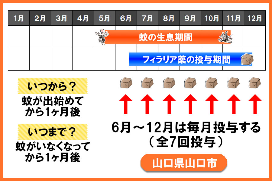 フィラリア予防薬の投与期間 山口県 山口市