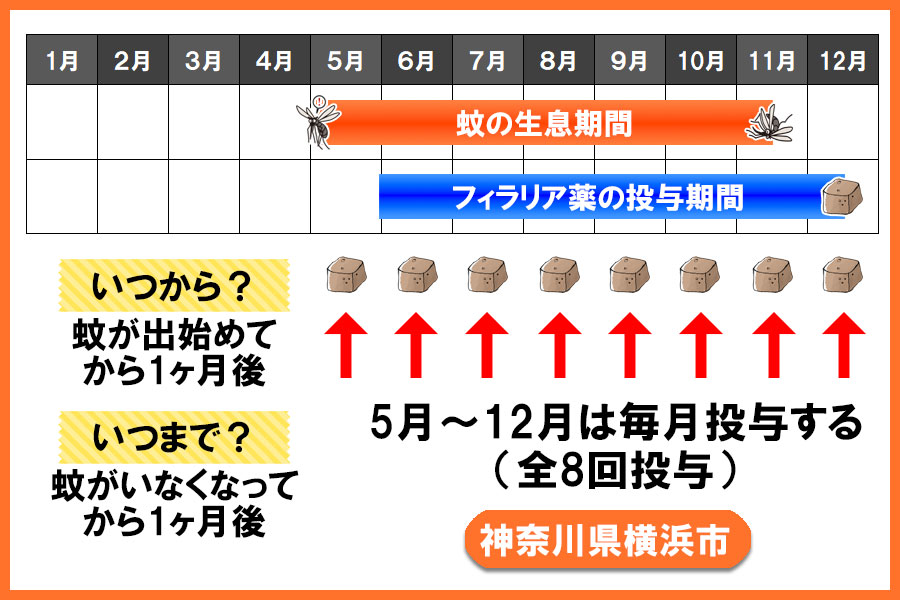 フィラリア予防薬の投与期間 神奈川県 横浜市