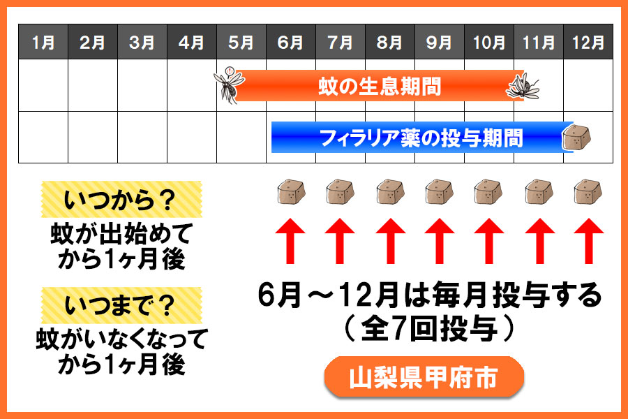 フィラリア予防薬の投与期間 山梨県 甲府市