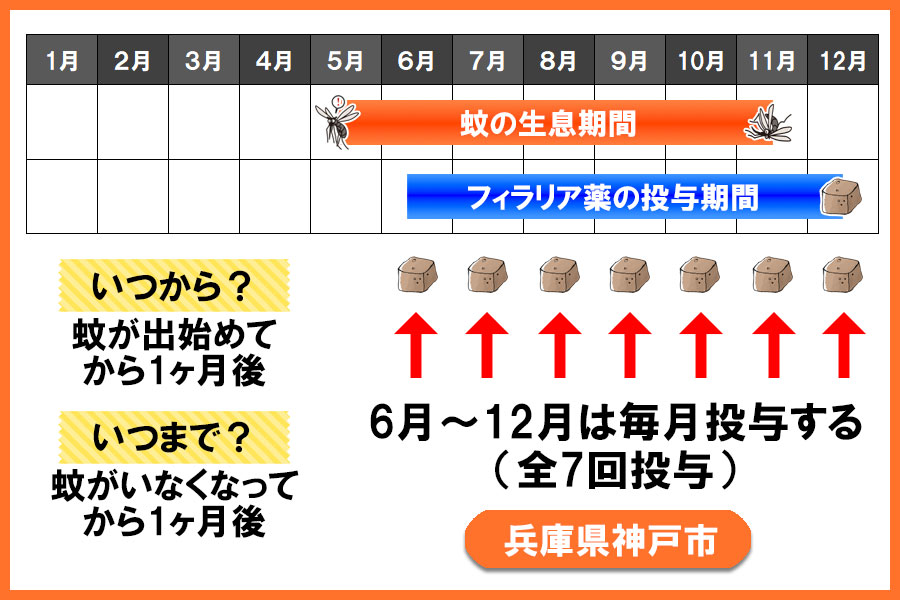 フィラリア予防薬の投与期間 兵庫県 神戸市