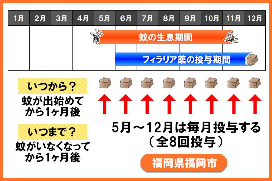 フィラリア予防薬の投与期間 福岡県 福岡市