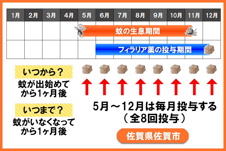 フィラリア予防薬の投与期間 佐賀県 佐賀市