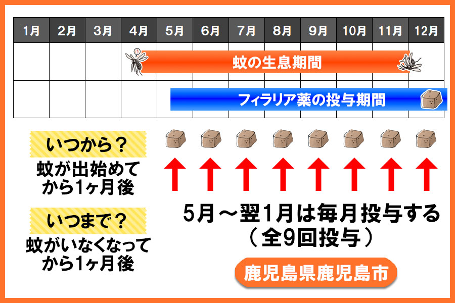 フィラリア予防薬の投与期間 鹿児島県 鹿児島市