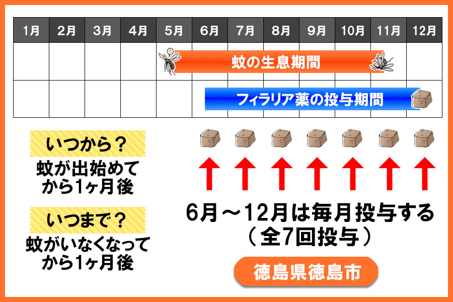 フィラリア予防薬の投与期間 徳島県徳島市