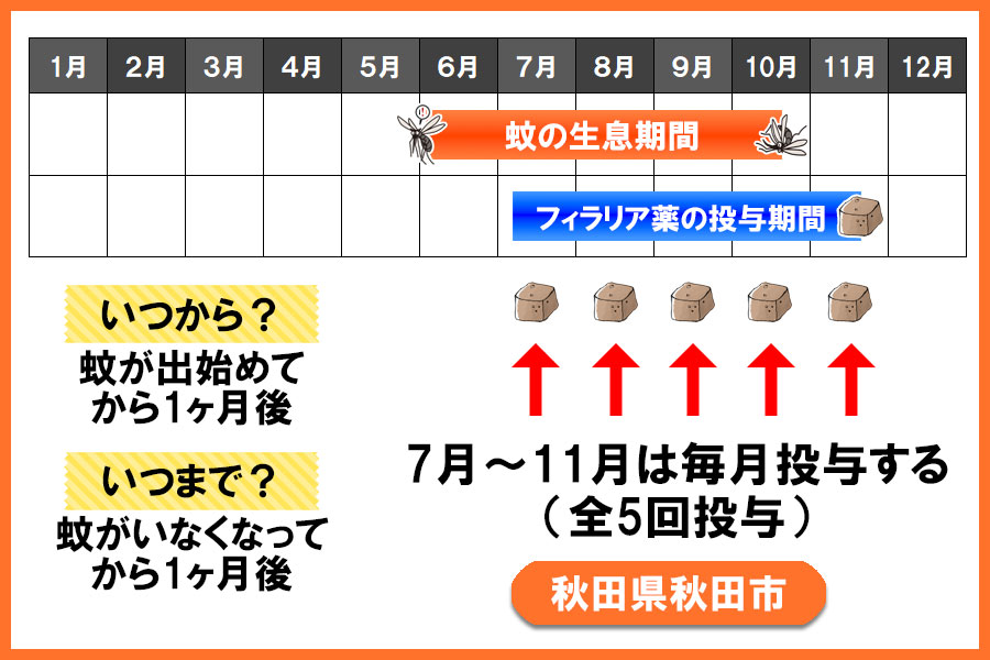 フィラリア予防薬の投与期間 秋田県 秋田市