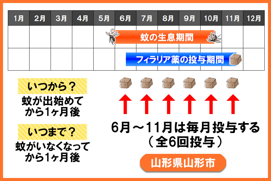 フィラリア予防薬の投与期間 山形県 山形市