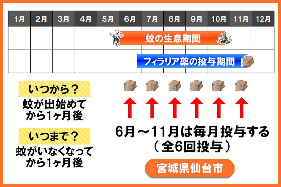 フィラリア予防薬の投与期間 宮城県 仙台市