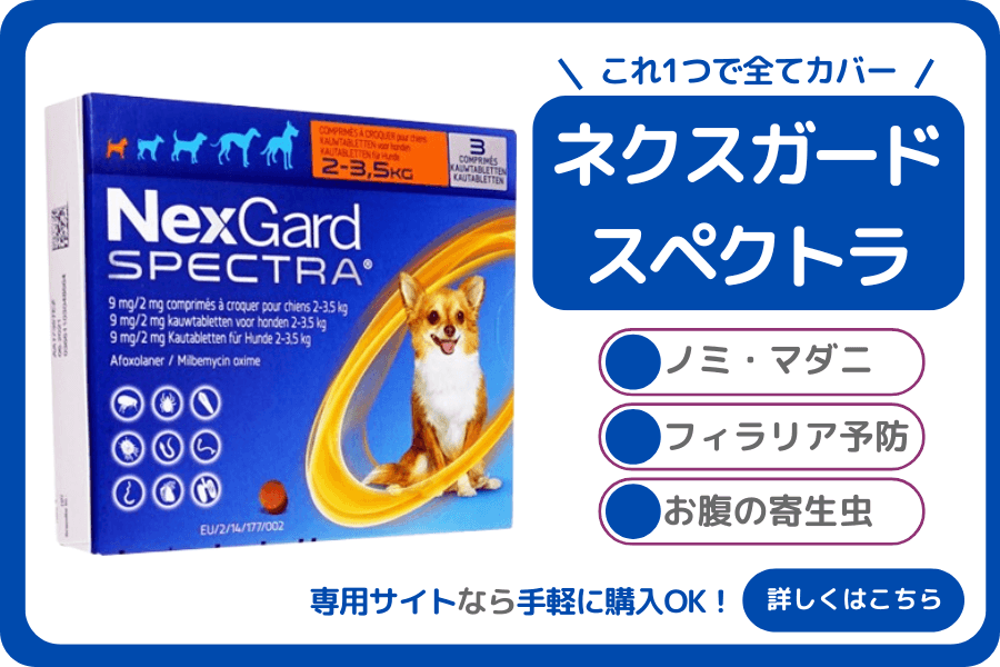 ネクスガードスペクトラはAmazonや楽天で購入できる？