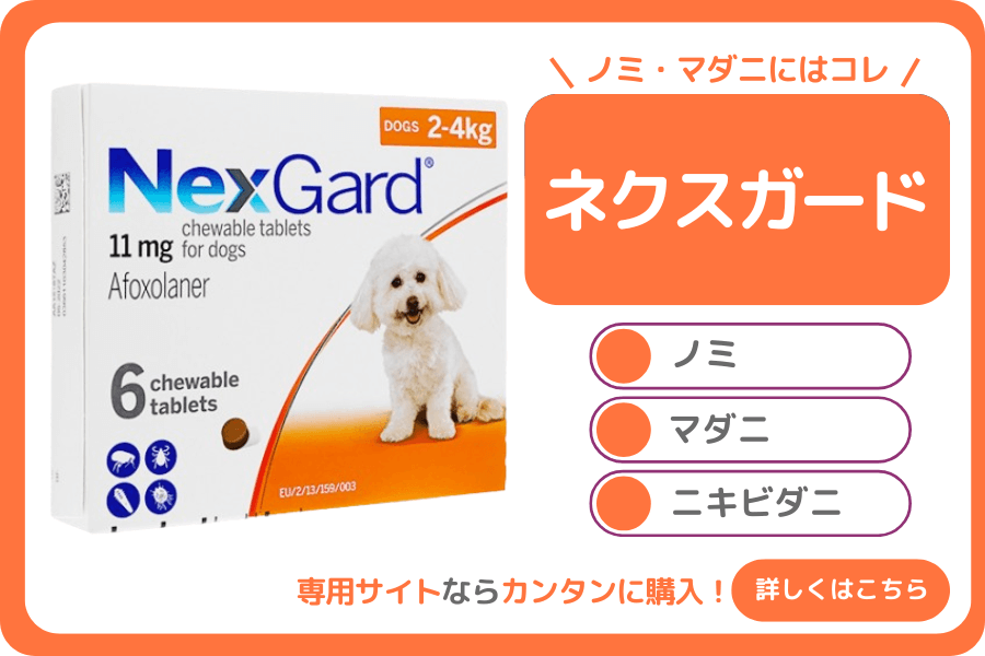 ネクスガードもAmazonや楽天では買えない