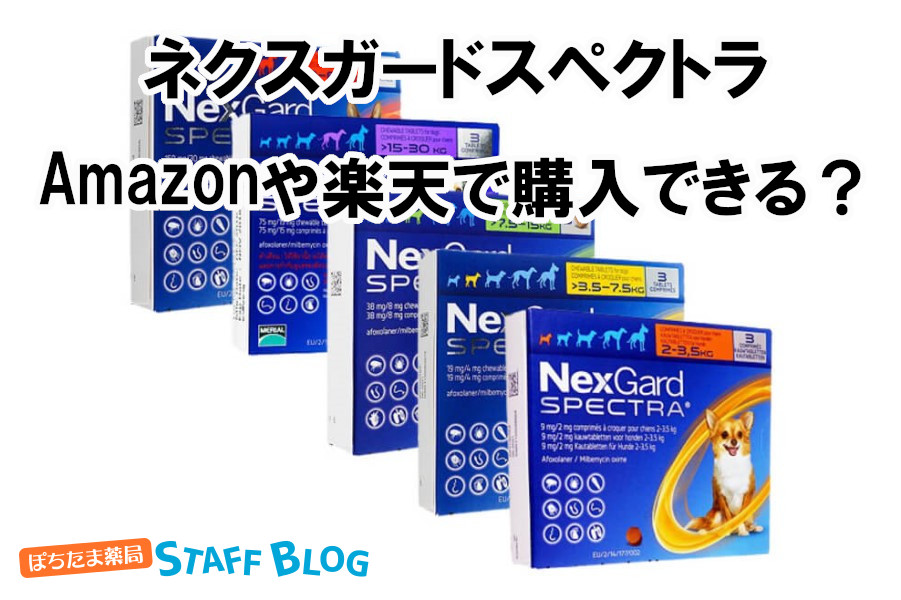 ネクスガードスペクトラはAmazonや楽天で購入できる？気になる購入方法を紹介