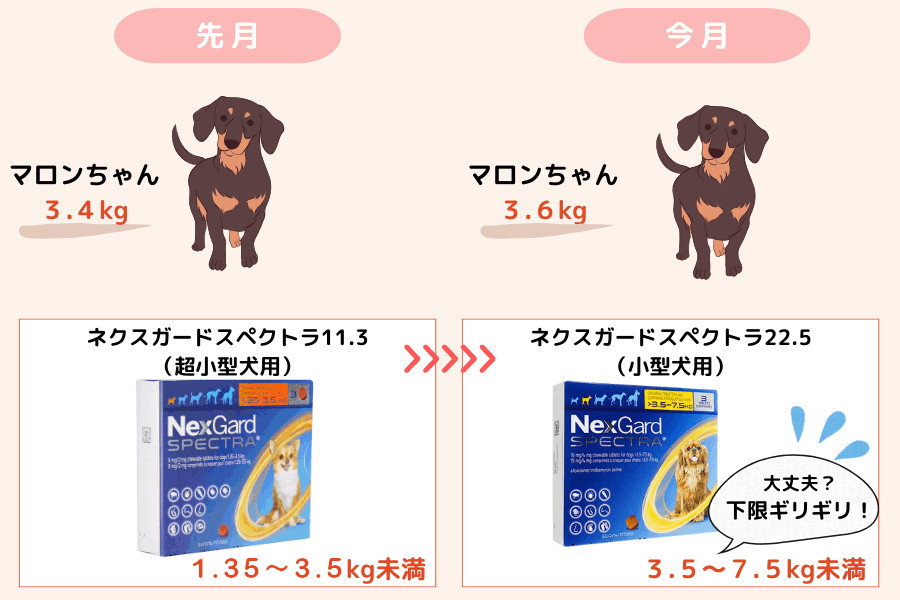 体重が下限ギリギリの場合