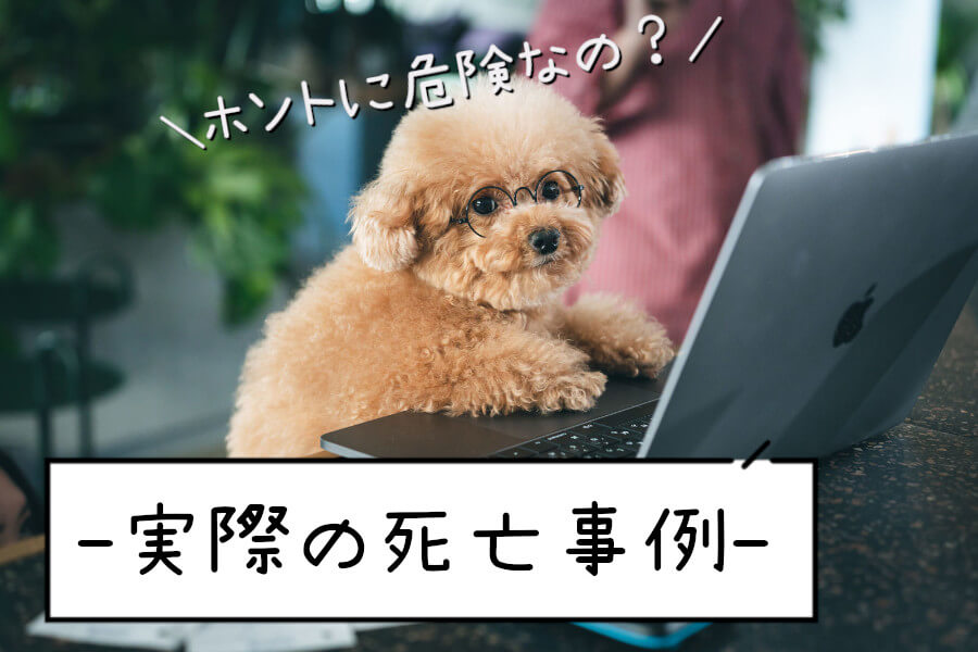 ネクスガードスペクトラで死亡したという報告はある?