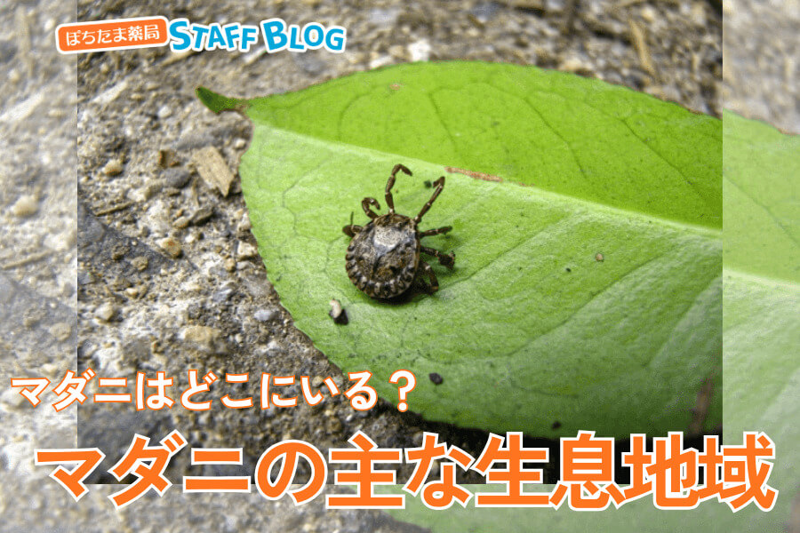 マダニはどこにいる？マダニの主な生息地域について