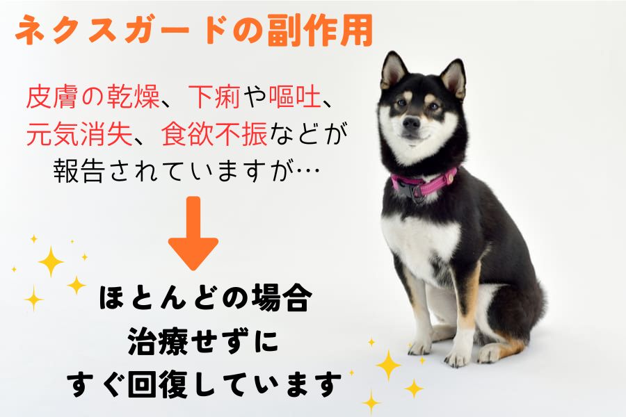 ネクスガードを犬に投与した際の副作用