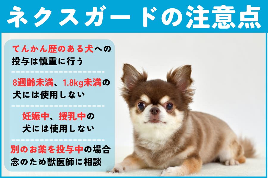 ネクスガードを投与するときの注意点