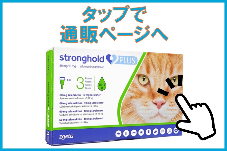 ストロングホールドプラス