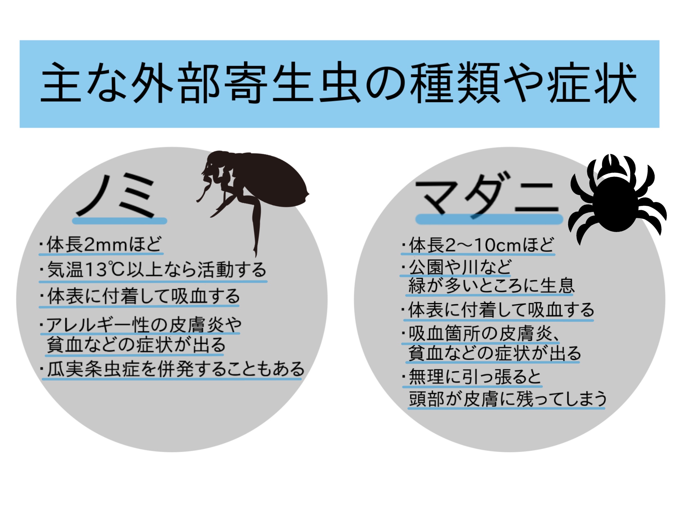 外部寄生虫の種類や症状