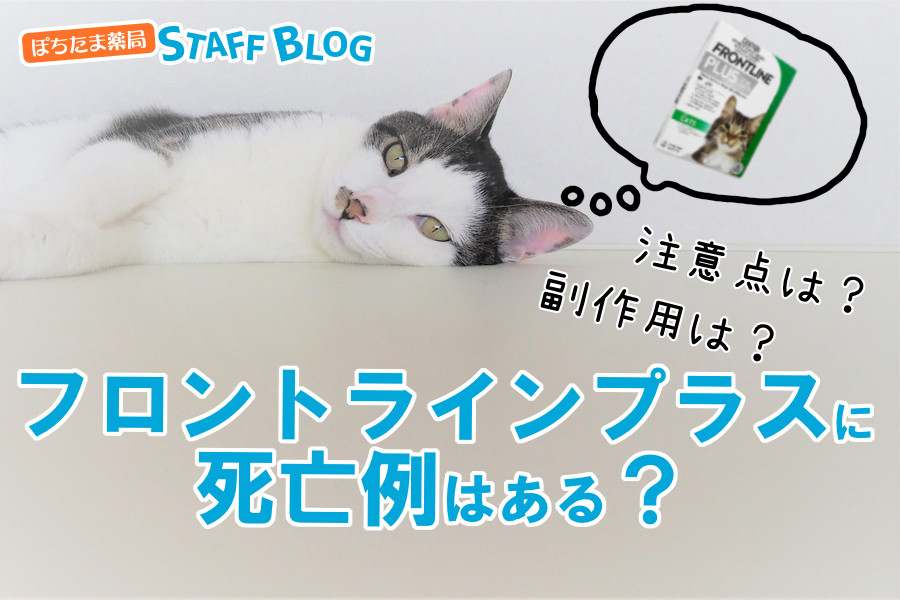 フロントラインプラスで猫が死亡！？副作用について解説