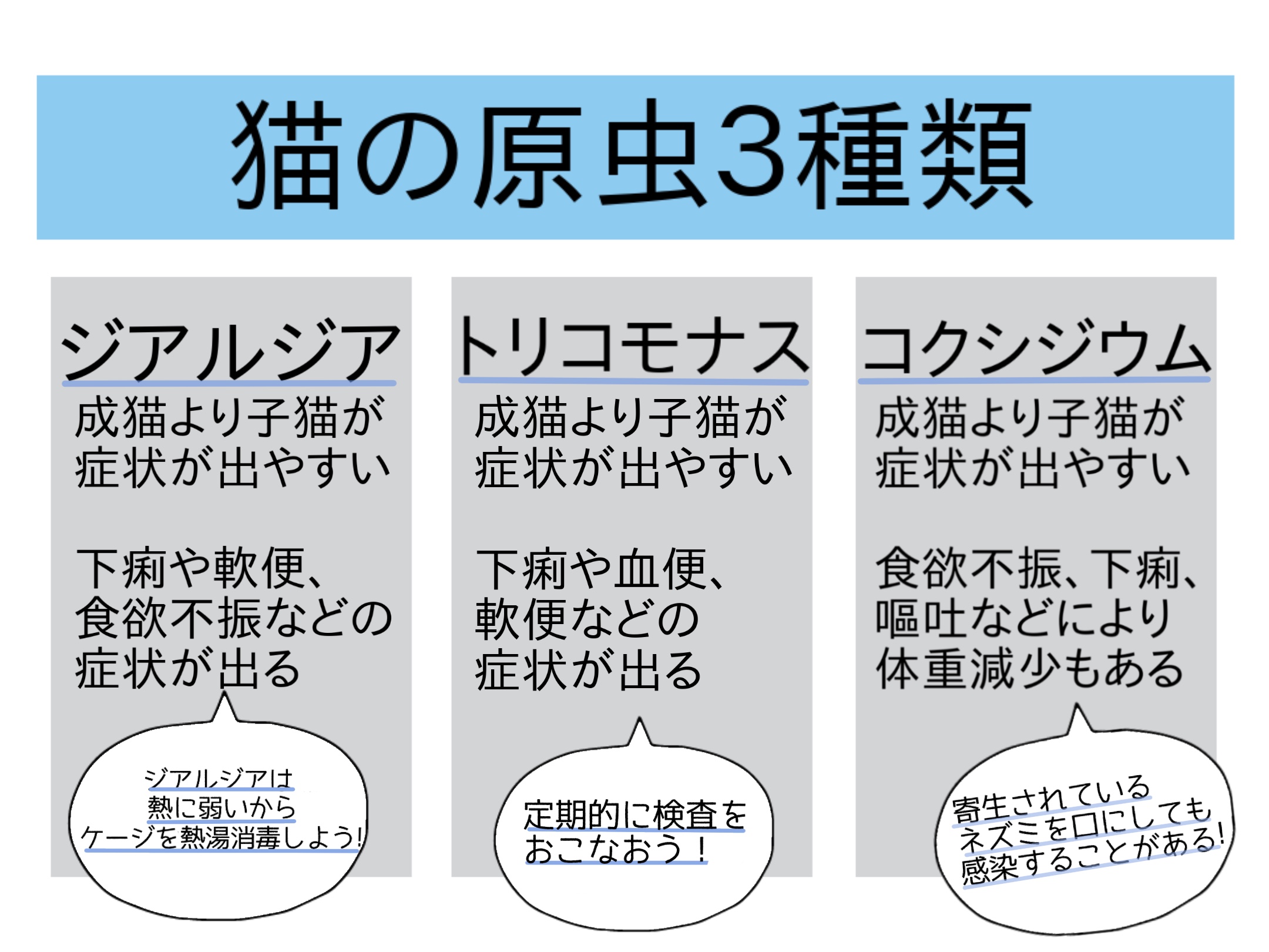 猫の内部寄生虫④原虫の症状