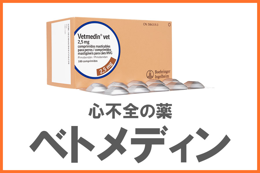 犬猫の心不全薬ベトメディンの副作用とは？飲み忘れ時の対応やピモベハートとの違いを解説 | ぽちたま薬局スタッフブログ