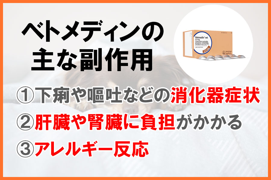 犬猫の心不全薬ベトメディンの副作用とは？飲み忘れ時の対応やピモベハートとの違いを解説 | ぽちたま薬局スタッフブログ